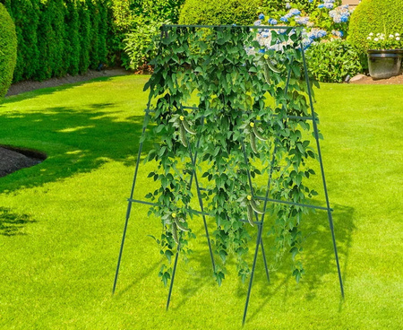 STELAŻ DO PNĄCYCH ROŚLIN XXL 120x80 PODPORA DO ROŚLIN OGÓRKÓW POMIDORÓW