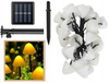 ŚWIETLNE GRZYBKI: LAMPKI SOLARNE GRUNTOWE - CIEPŁE 5M 10 LED