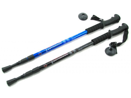 NORDIC WALKING KIJE TREKINGOWE KIJKI KIJ X2