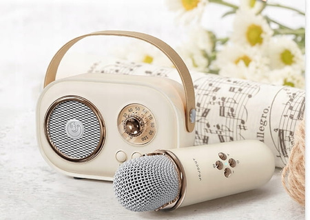 GŁOŚNIK KARAOKE Z MIKROFONEM DLA DZIECKA NA PREZENT ŚWIĘTA KLASYCZNY STEREO