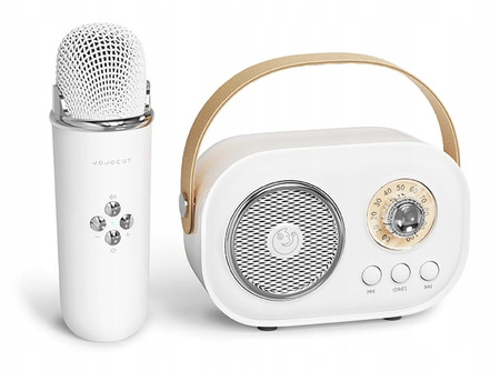 GŁOŚNIK KARAOKE Z MIKROFONEM DLA DZIECKA NA PREZENT ŚWIĘTA KLASYCZNY STEREO