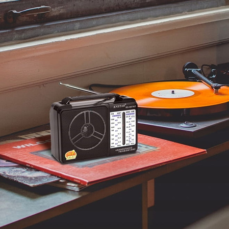 RADIO SIECIOWE KLASYCZNE NA DZIAŁKE DO OGRÓDKA BATERIE PODRĘCZNE KUCHENNE