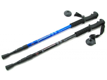 NORDIC WALKING KIJE TREKINGOWE KIJKI KIJ X2